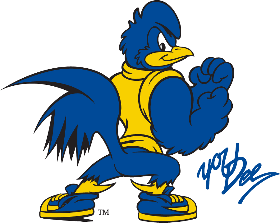 Delaware Blue Hens 2018-Pres Mascot Logo v2 diy iron on heat transfer